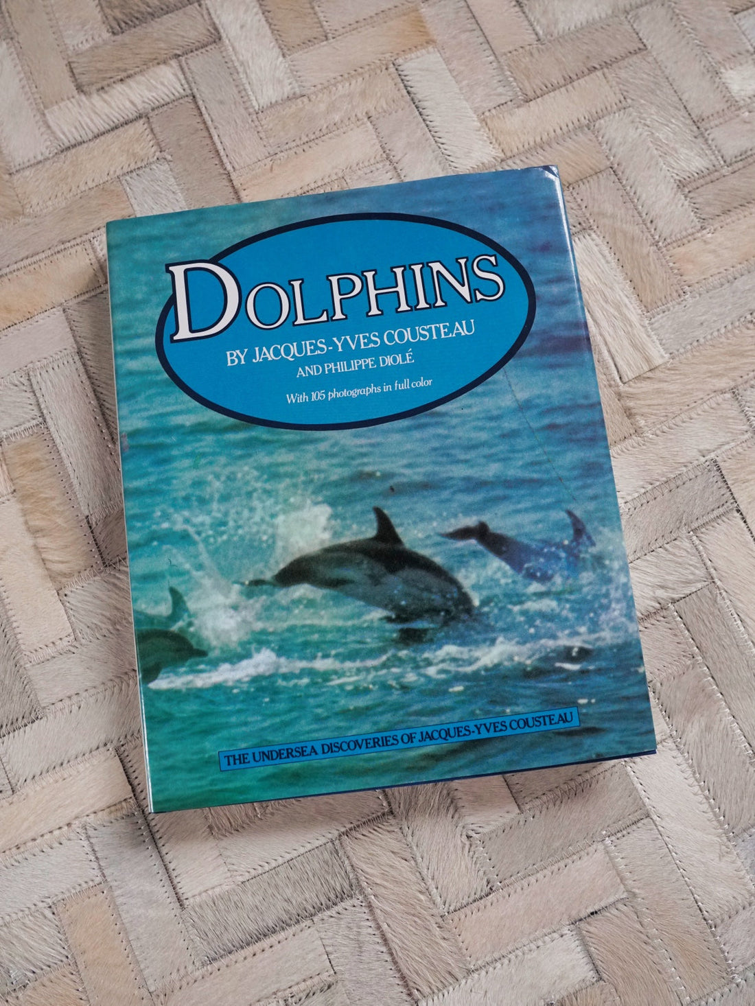 80's Dolphin Ocean Photo Book-closiTherapi | vinTage
