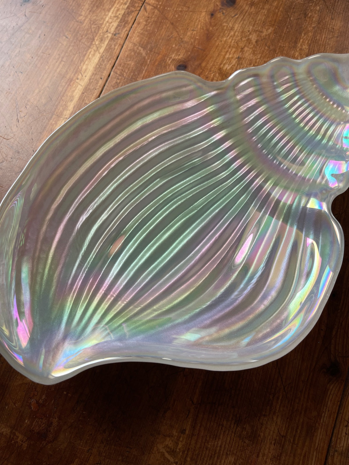 Iridescent Conch Shell Bowl-closiTherapi | vinTage