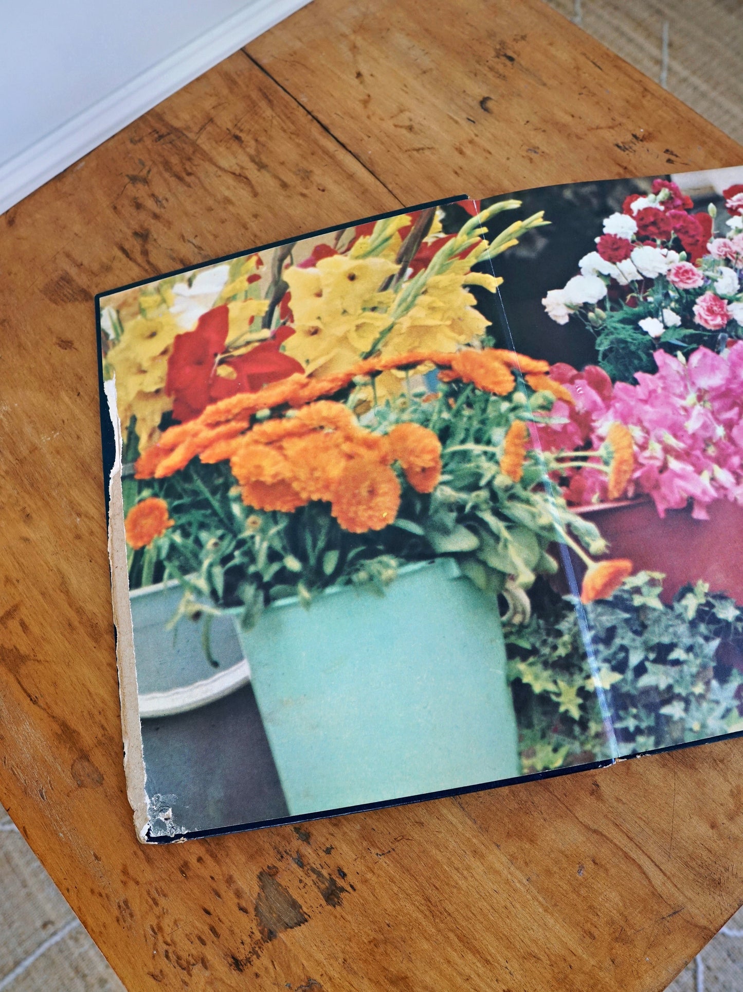 Vintage 70's Traveller's Book Of Colour Photography-closiTherapi | vinTage