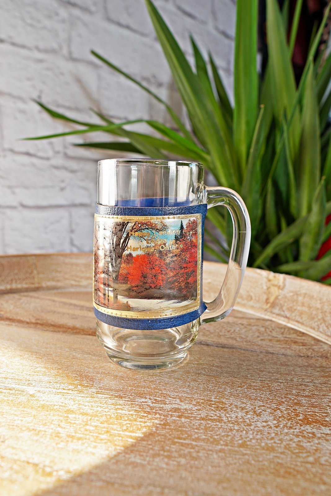Vintage Happy Landing Lodge Glass Souvenir Mug-closiTherapi | vinTage