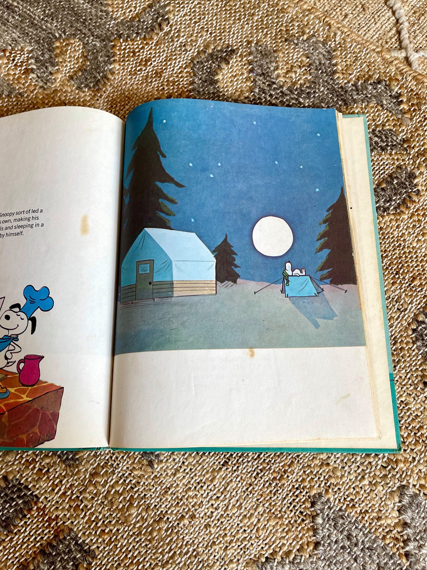 Vintage It Was a Short Summer Charlie Brown Book-closiTherapi | vinTage