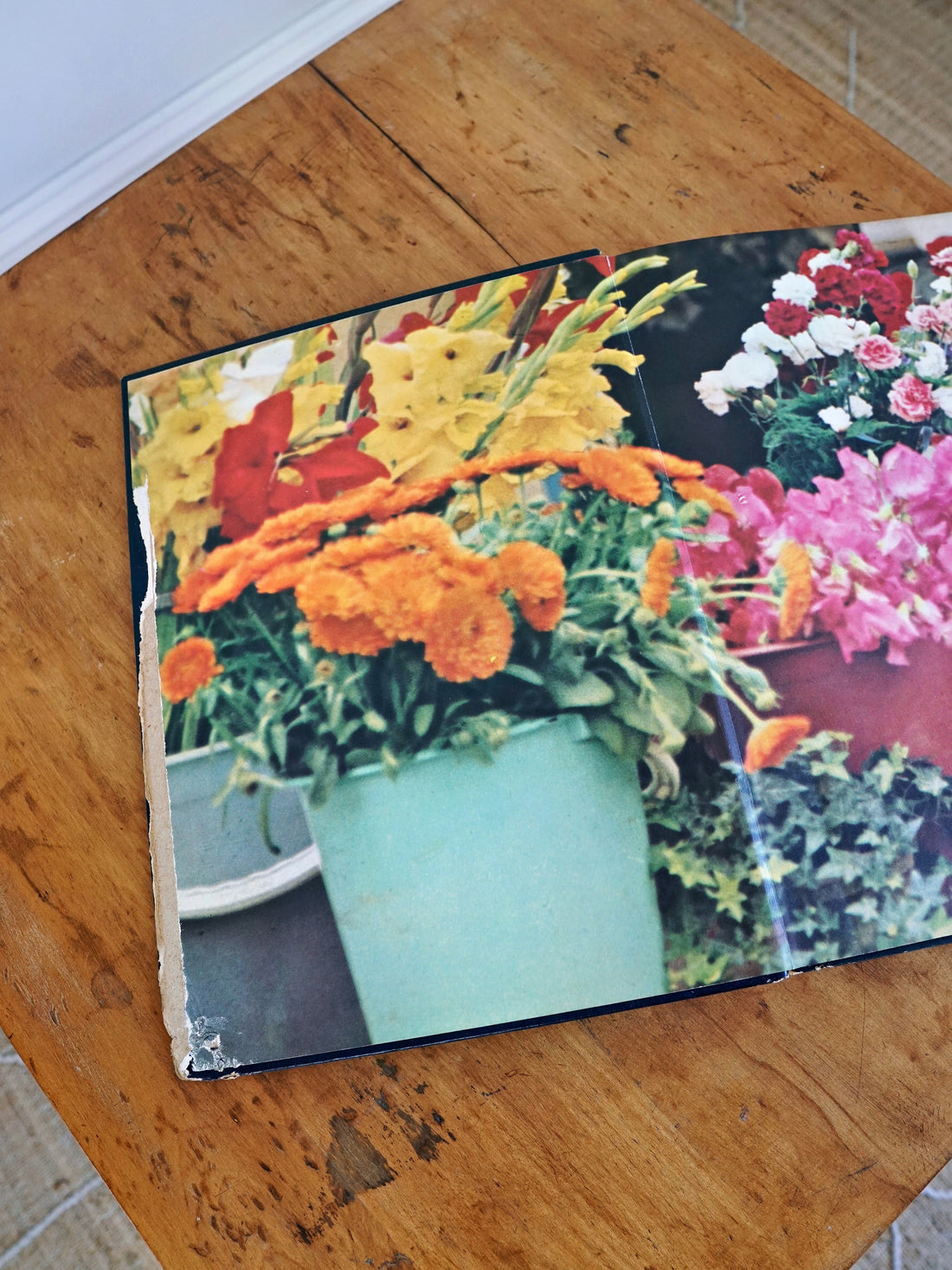 70's Traveller's Book Of Colour Photography-closiTherapi | vinTage