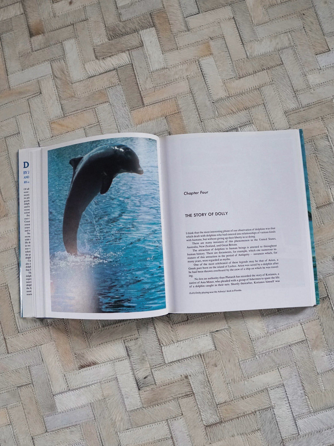 80's Dolphin Ocean Photo Book-closiTherapi | vinTage