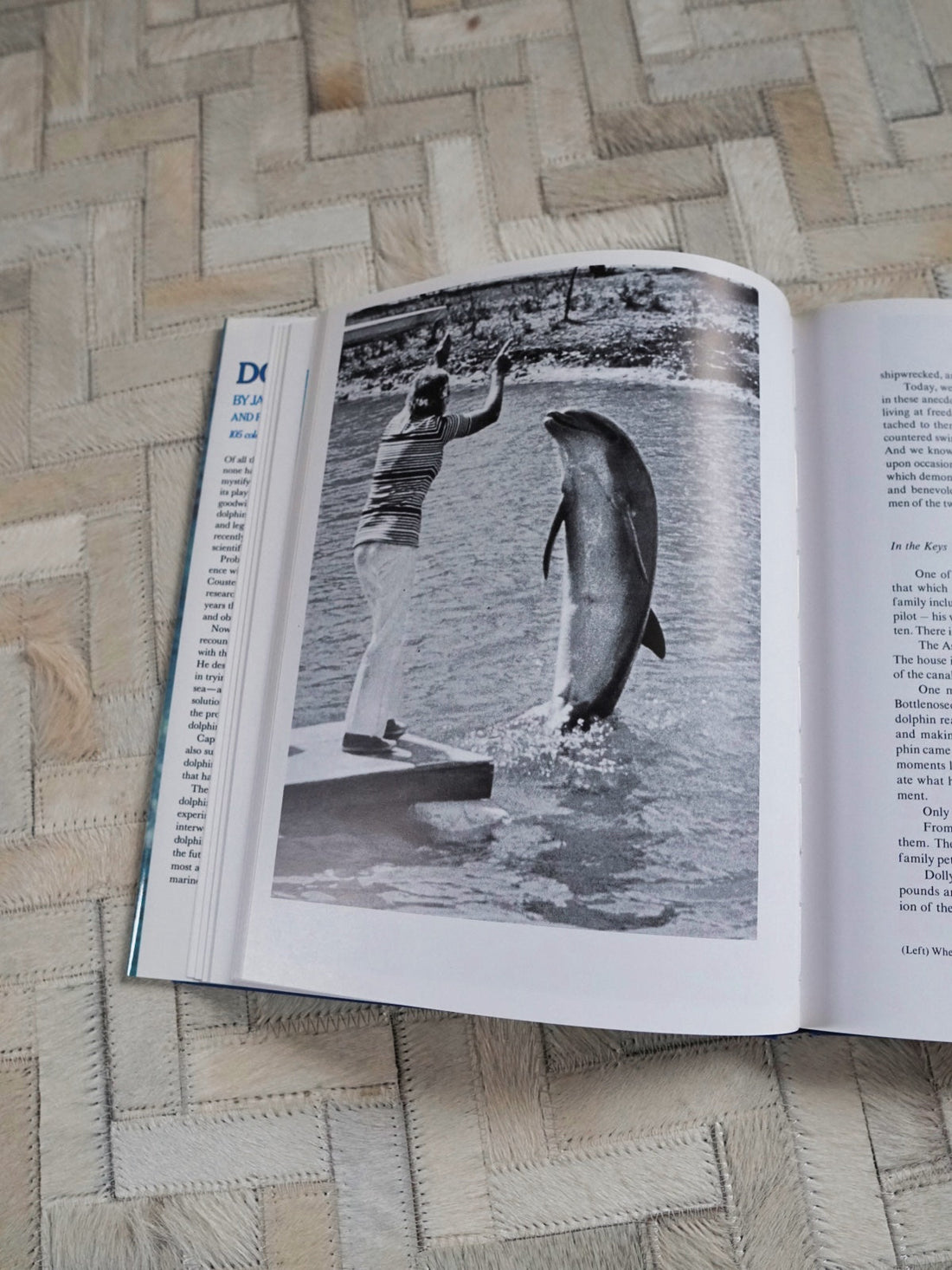 80's Dolphin Ocean Photo Book-closiTherapi | vinTage