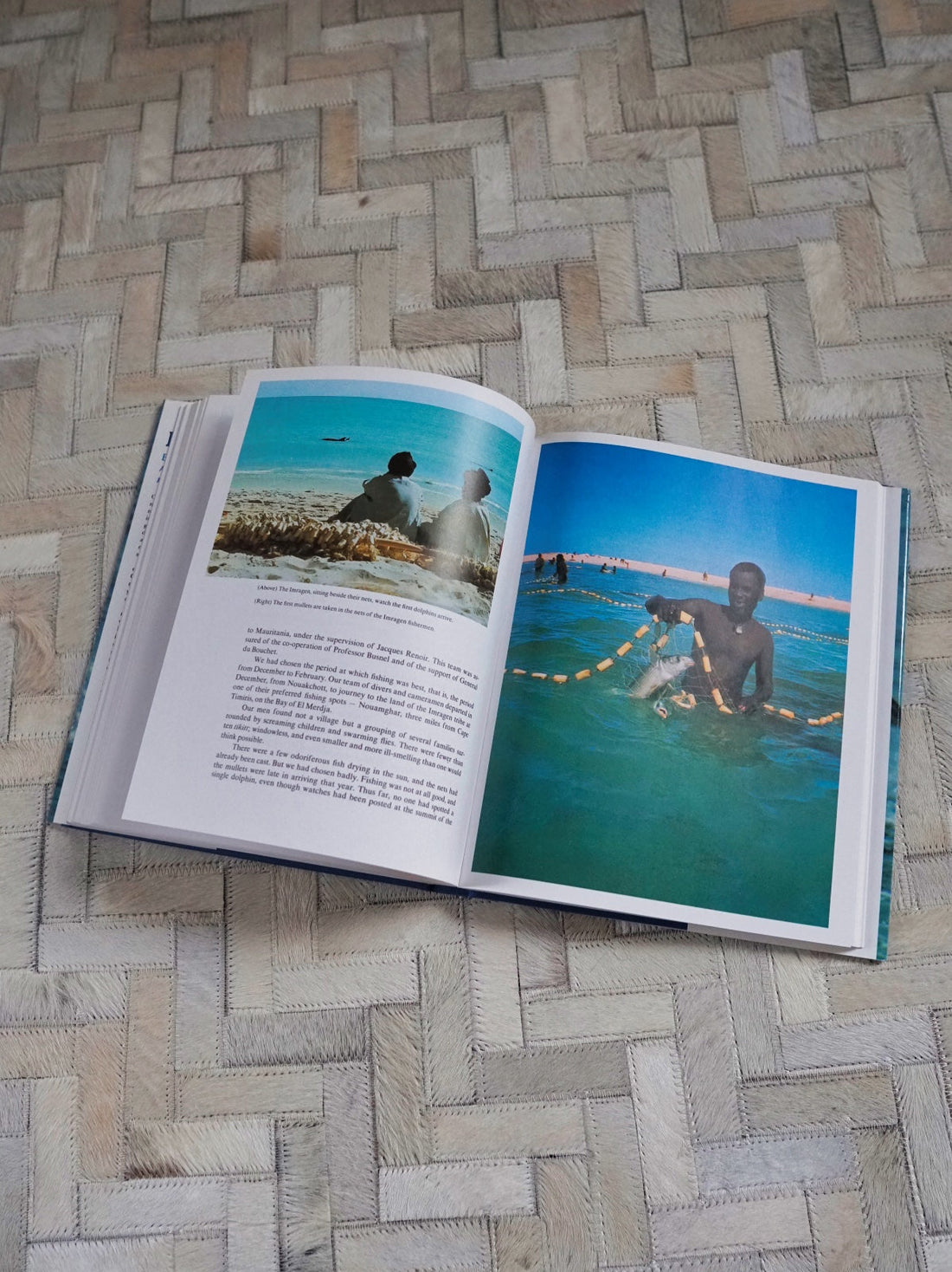 80's Dolphin Ocean Photo Book-closiTherapi | vinTage