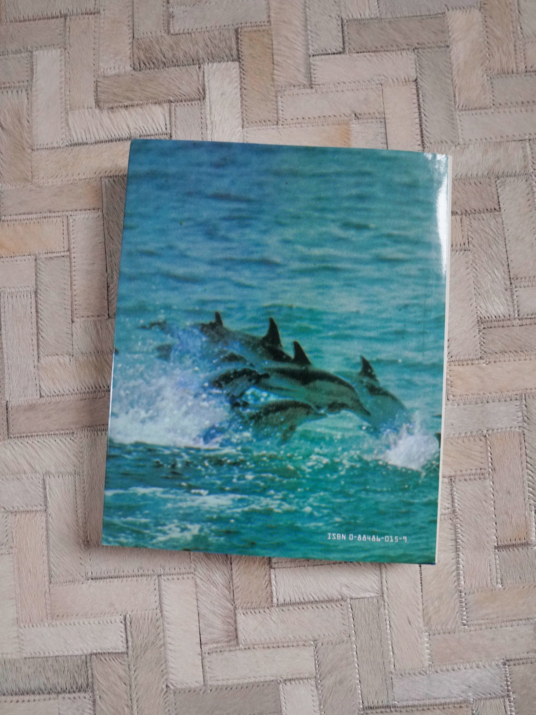80's Dolphin Ocean Photo Book-closiTherapi | vinTage