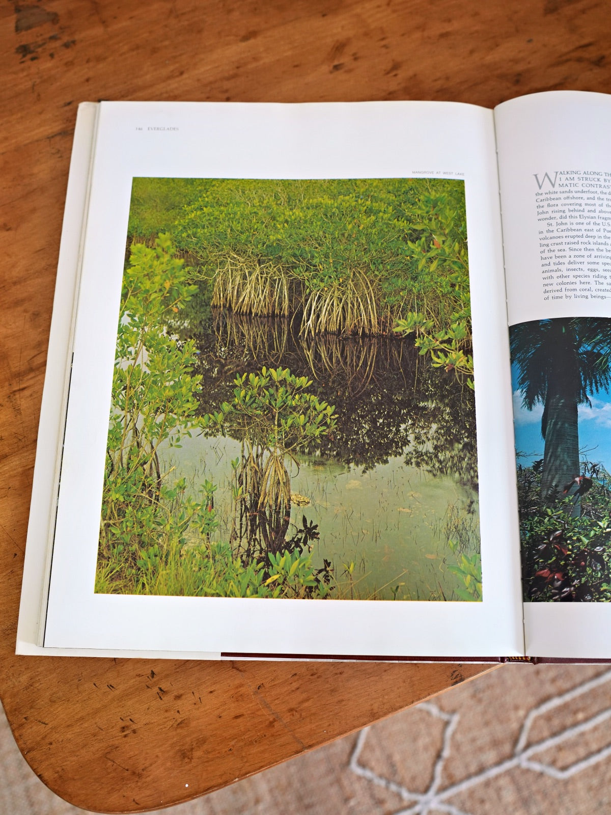 Vintage 80's The National Parks Book-closiTherapi | vinTage