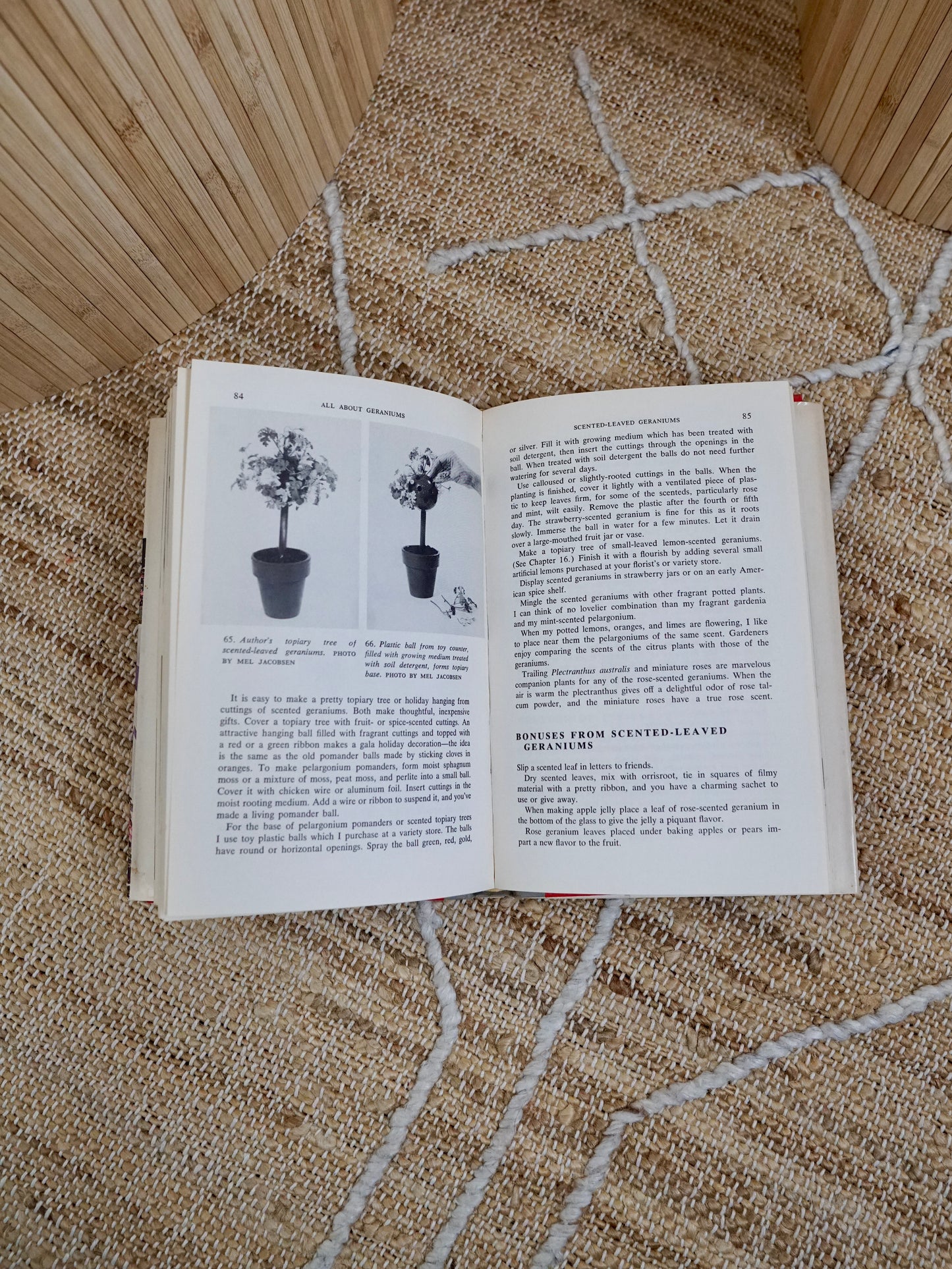 Vintage 60's All About Geraniums Book-closiTherapi | vinTage