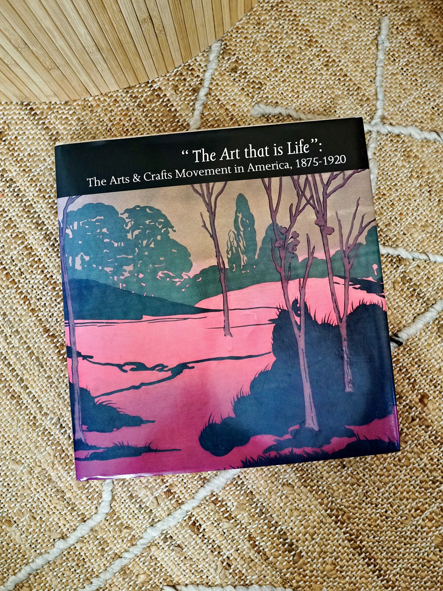 Vintage 80's Arts & Crafts Movement In America Book-closiTherapi | vinTage