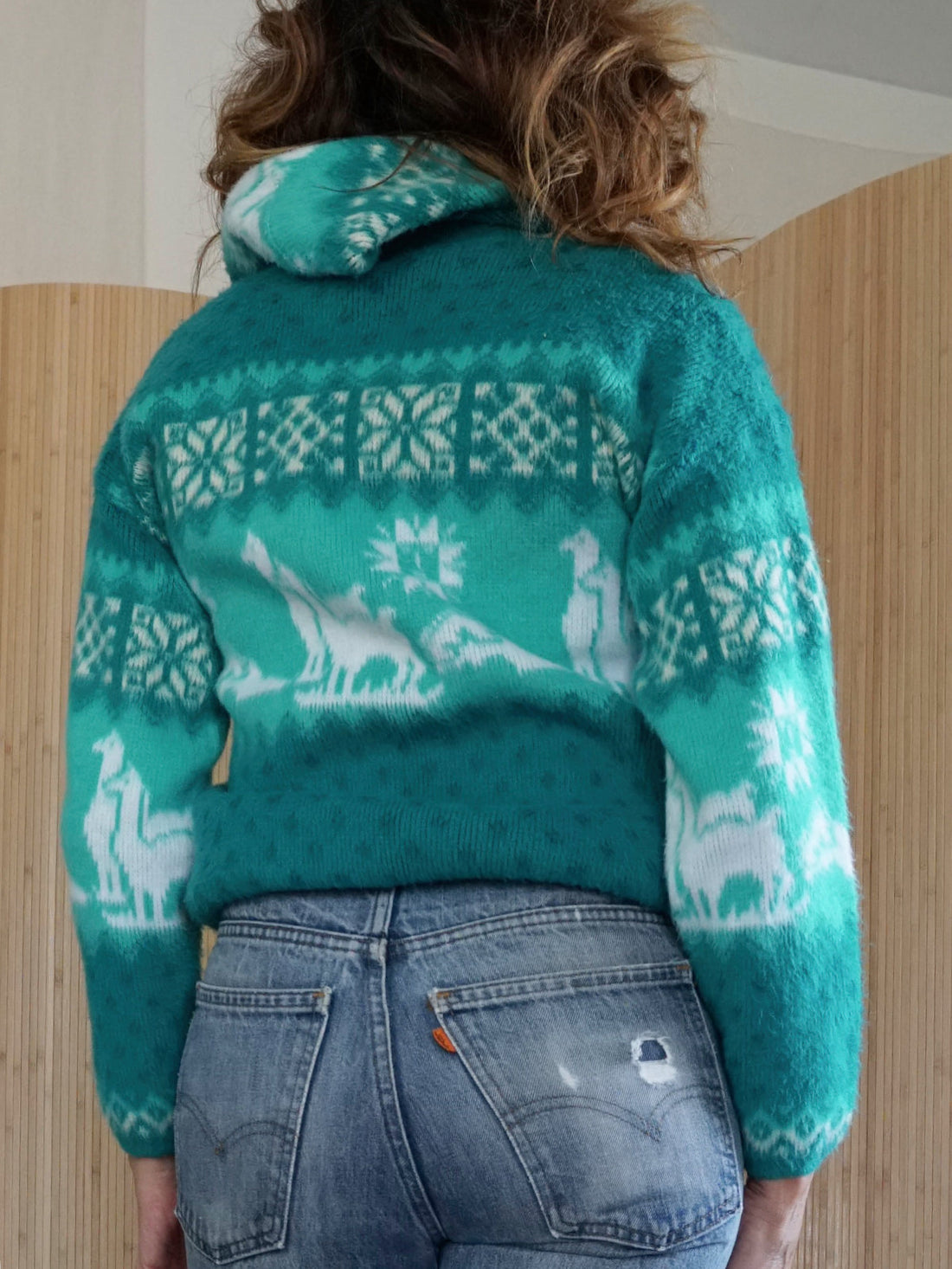 Vintage Alpaca Motif Hoodie Sweater-closiTherapi | vinTage