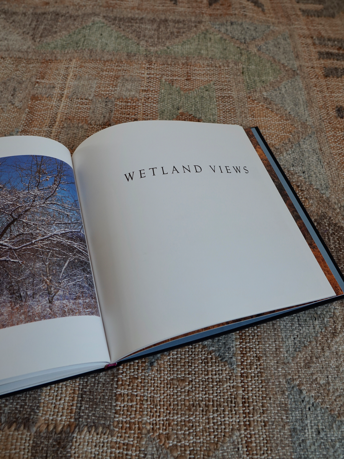 Vintage 100 Views Of The Adirondacks Book-closiTherapi | vinTage
