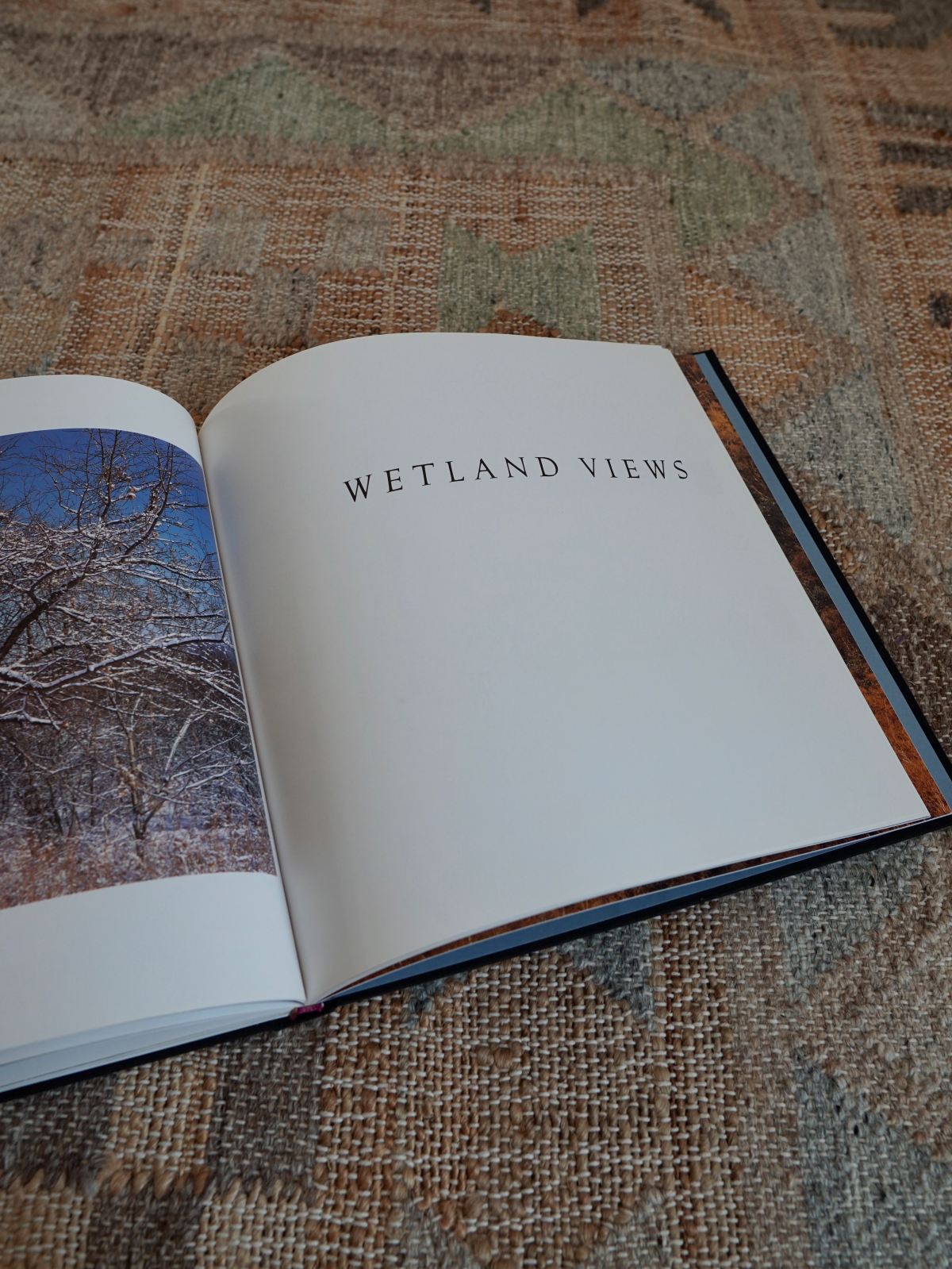 Vintage 100 Views Of The Adirondacks Book-closiTherapi | vinTage