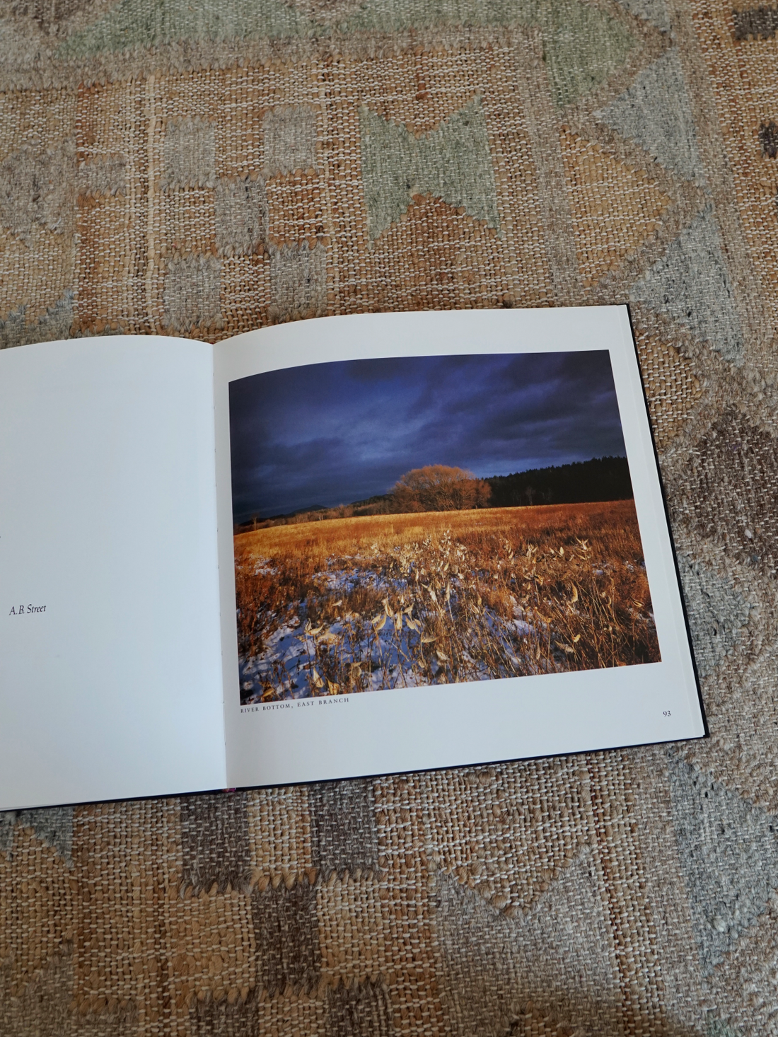 Vintage 100 Views Of The Adirondacks Book-closiTherapi | vinTage