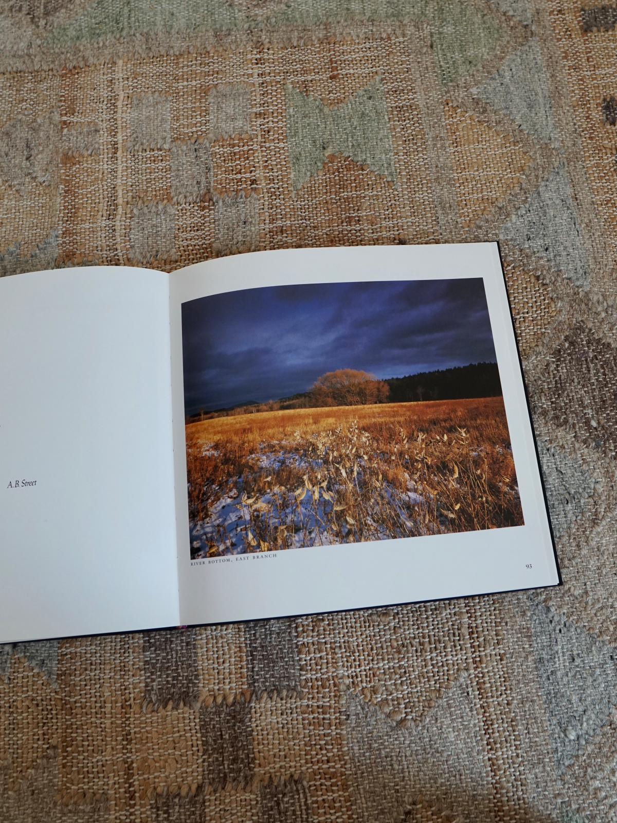 Vintage 100 Views Of The Adirondacks Book-closiTherapi | vinTage