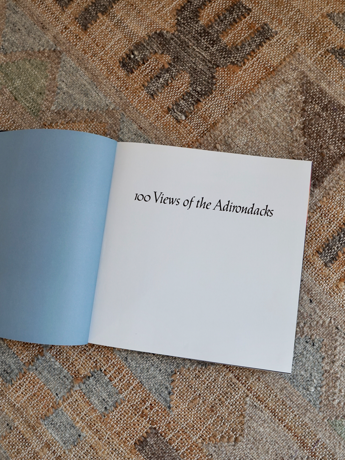 Vintage 100 Views Of The Adirondacks Book-closiTherapi | vinTage