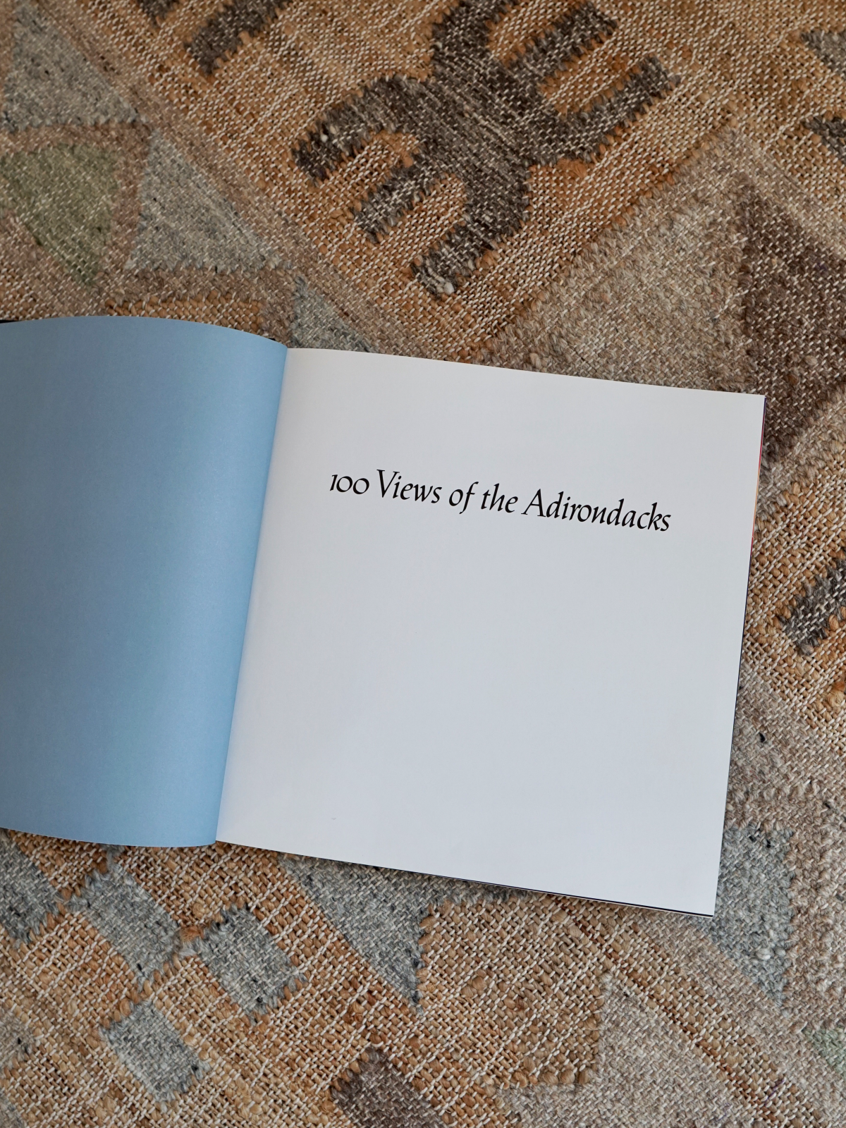 Vintage 100 Views Of The Adirondacks Book-closiTherapi | vinTage