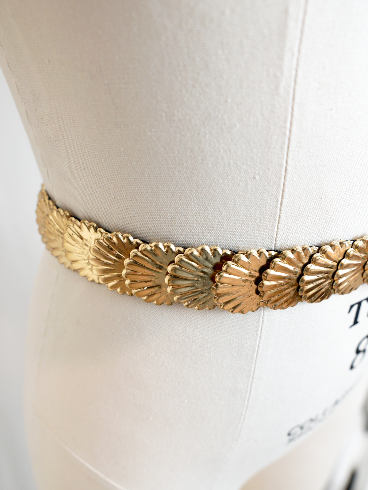 Vintage Gold Seashell Stretch Belt – therapi