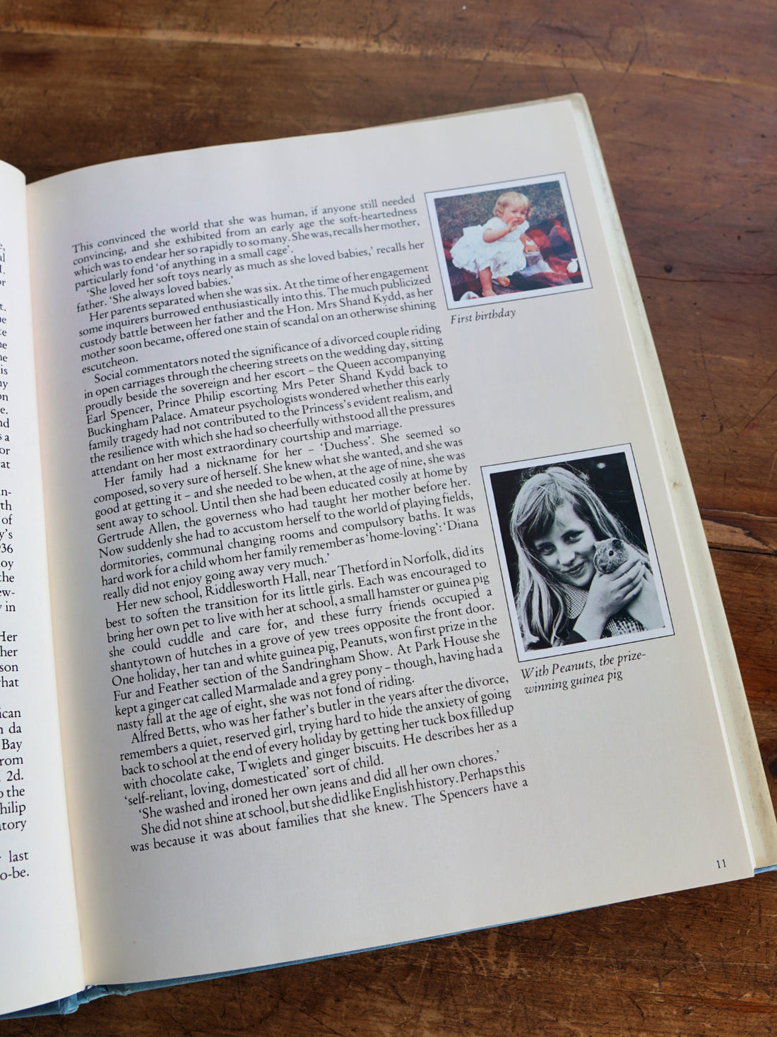 Vintage Princess Diana Book-closiTherapi | vinTage