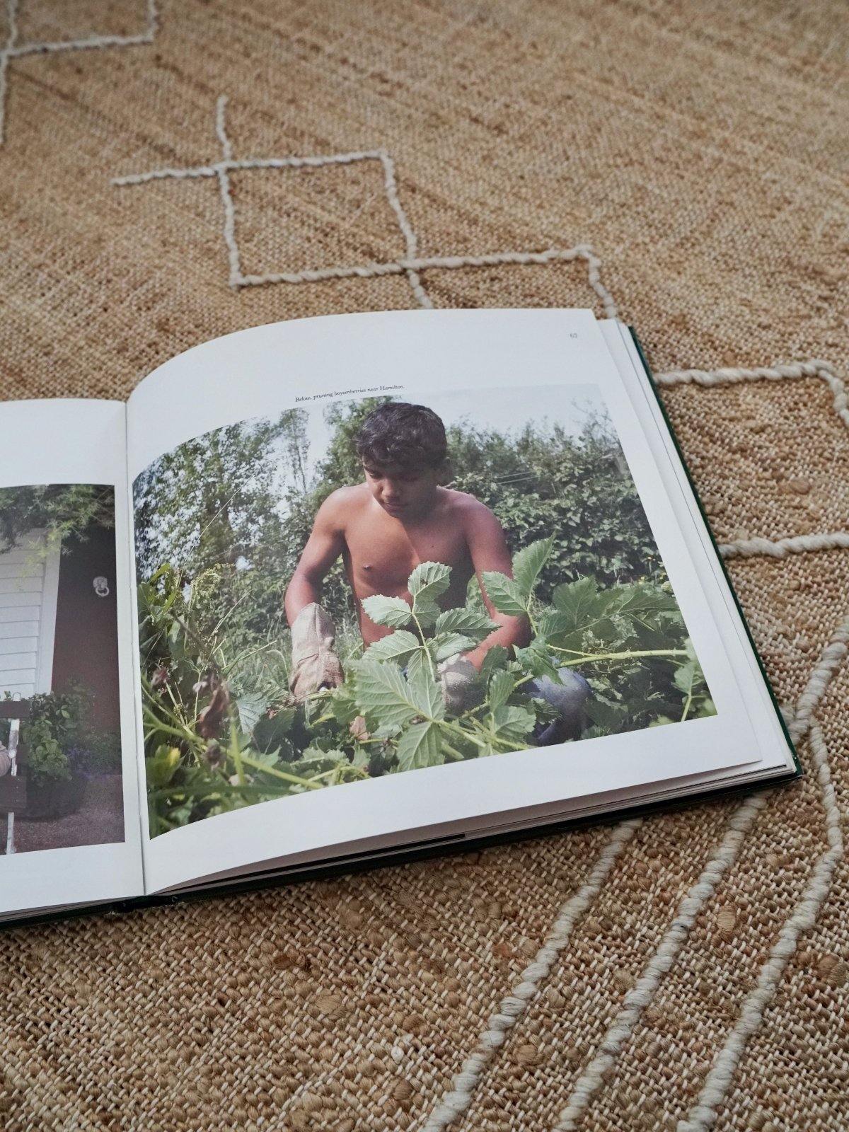 Vintage The Waikato Book-closiTherapi | vinTage